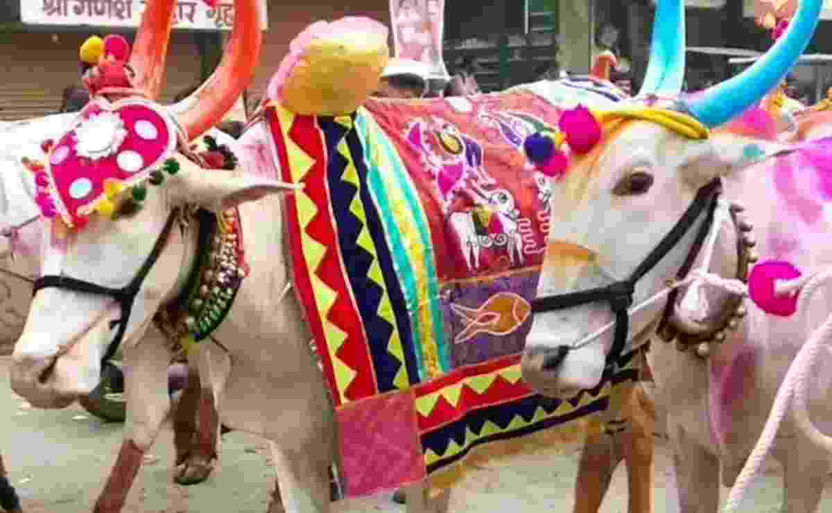 पोला पर्व में बाज़ारों में धूम