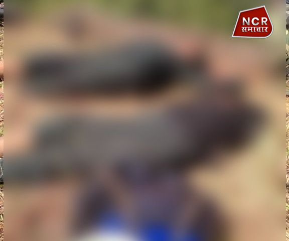 बलांगीर में पुलिस ने मुठभेड़ में दो नक्सलियों को मार गिराया